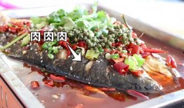 烤鱼店的鱼爆料视频大全,鱼种揭秘与烹饪技巧大公开